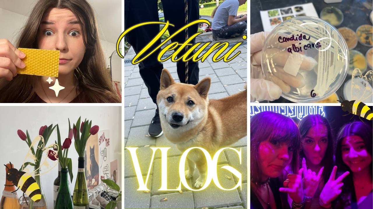 Bude zo mňa včelár??? Začiatok letného semestra vlog