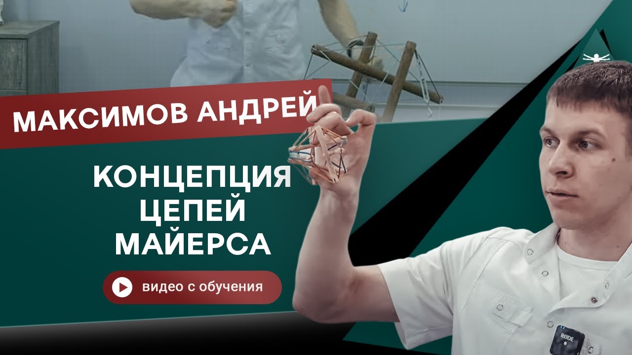 Анатомические поезда. Миофасциальные цепи. Введение. Максимов Андрей