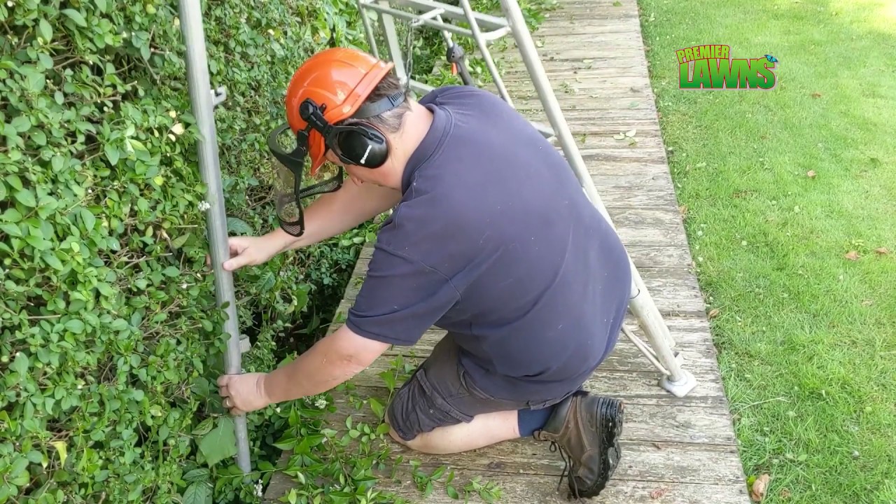 Hedge trimming FAIL -  close call
