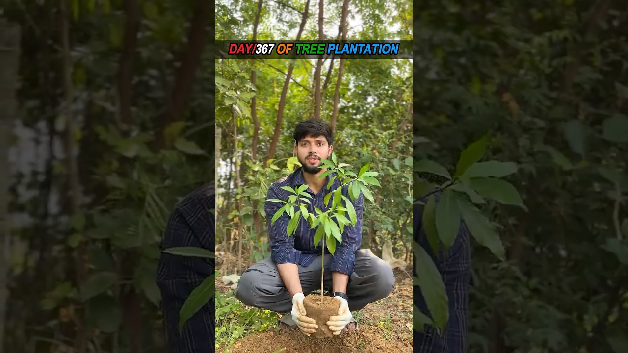 🛑 STOP SCROLLING 😳 | Summer Is About to Get Brutal 🥵🔥 | 1 Sub = 1 Tree 🌳 #shorts #yt #flora