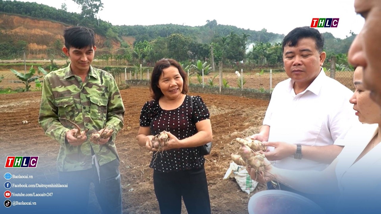 Người giữ nhịp chi bộ | THLC