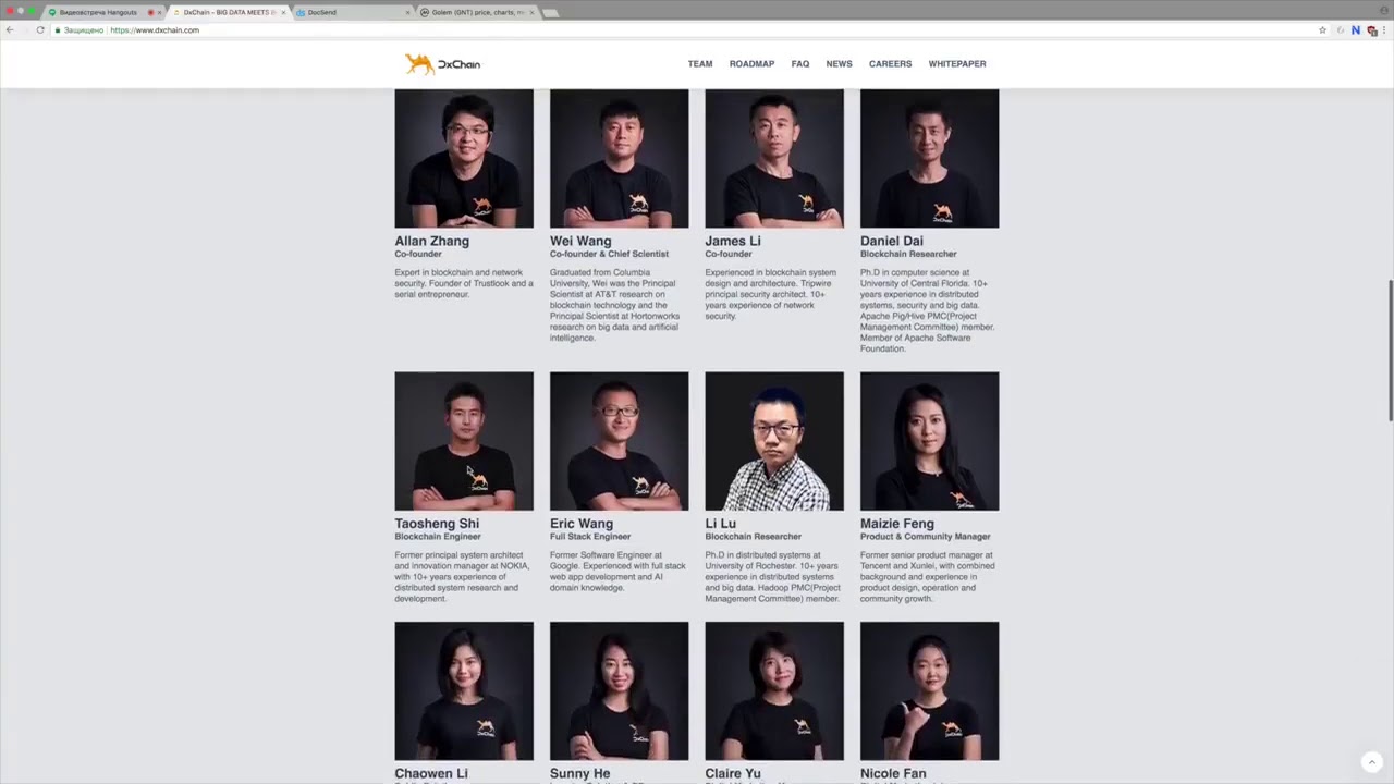 Обзор dxChain ICO 2018 😍😍😍