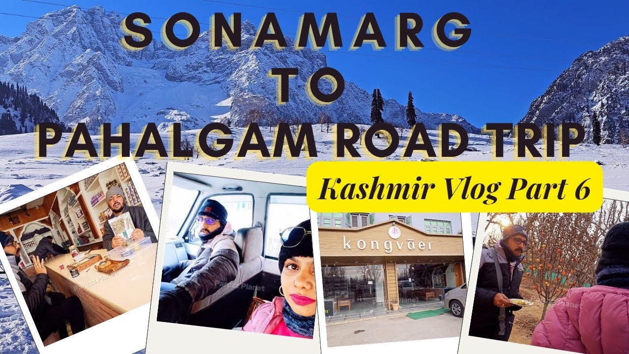 Sonamarg To Pahalgam Trip | Pampore Saffron & dry fruits Shopping Vlog |Apple Field Kashmir | Part-6