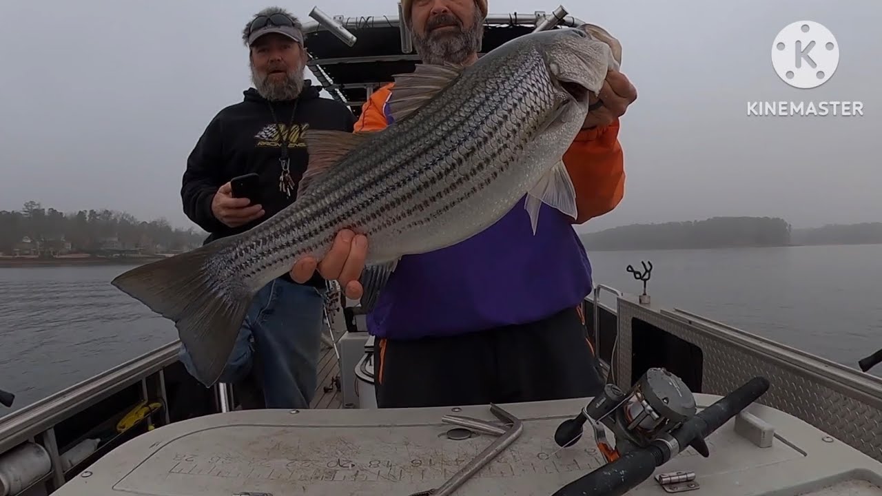 Полосатая рыба из Лейк-Гринвуда отжигает! 🔥🎣🎣