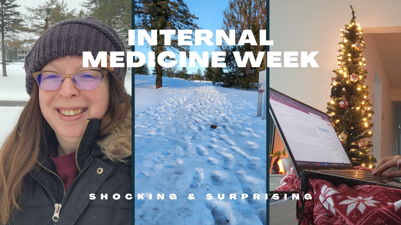 Week of Small Animal Internal Medicine - Snow Days & Interesting Cases