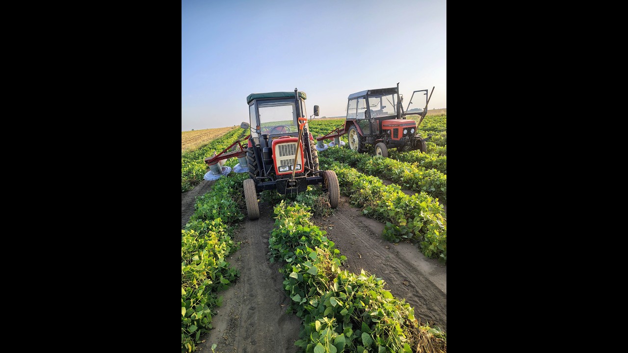 #67 Podsumowanie sezonu 2025 vol 2 #Zetor #5211 #UrsusC330  #amazone #farming  #village #shorts