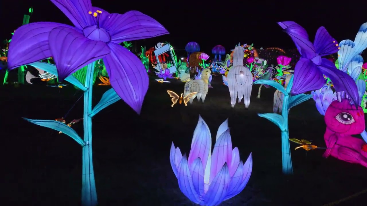 LuminoCity Festival 2025 --  Chinese Lanterns , Gaithersburg, Maryland