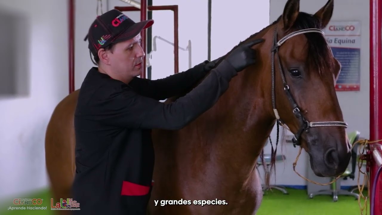 Lo que tanto quer&iacute;as, &iexcl;estudia TLA Veterinaria a Distancia en el Polit&eacute;cnico Ciandco!