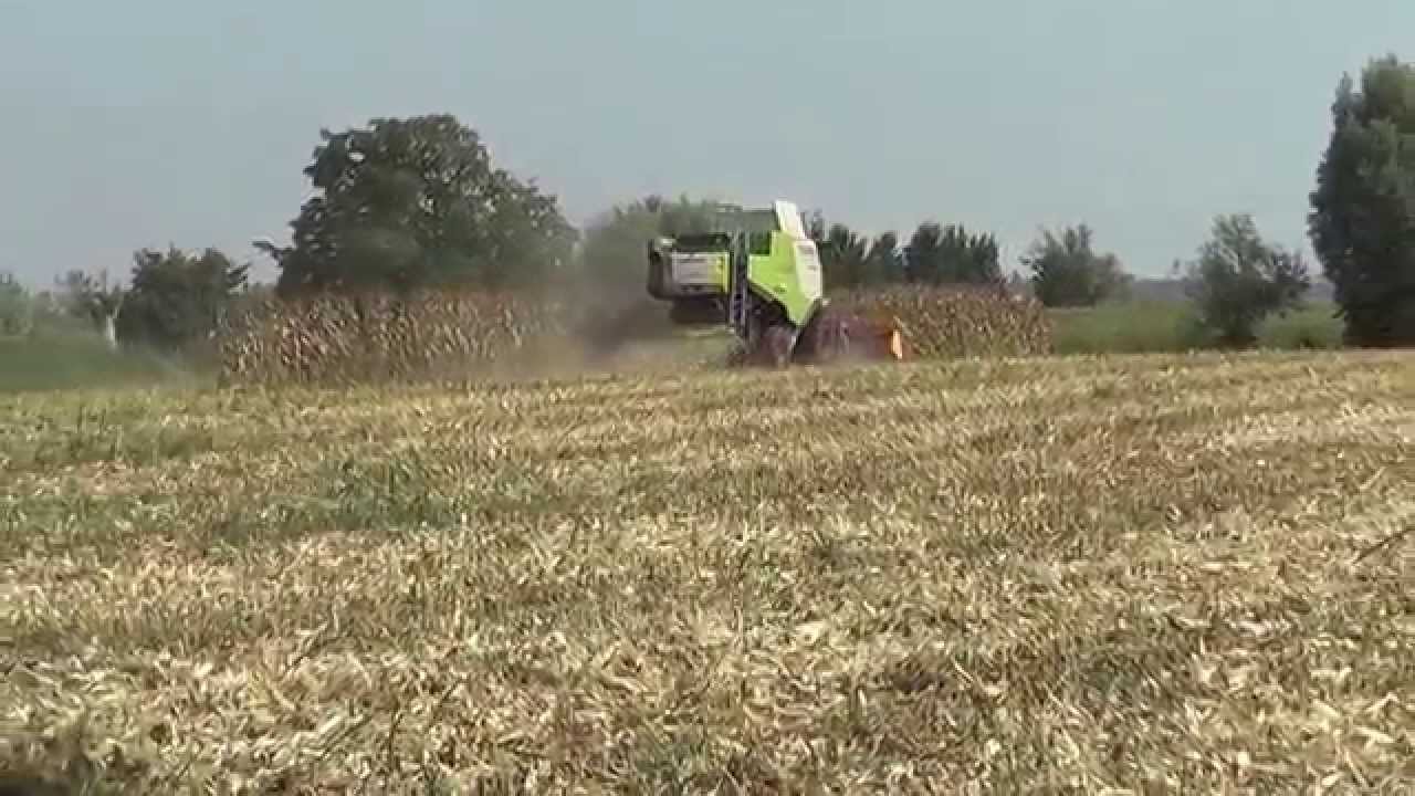 Trebbiatura mais con CLAAS LEXION 740 - terzista SIMONE BRAGA