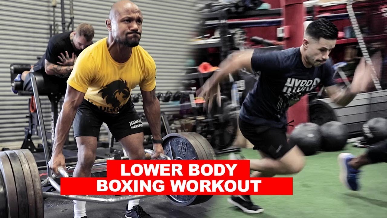 Boxing Workout for Speed Strength & Lower Body Power | Phil Daru