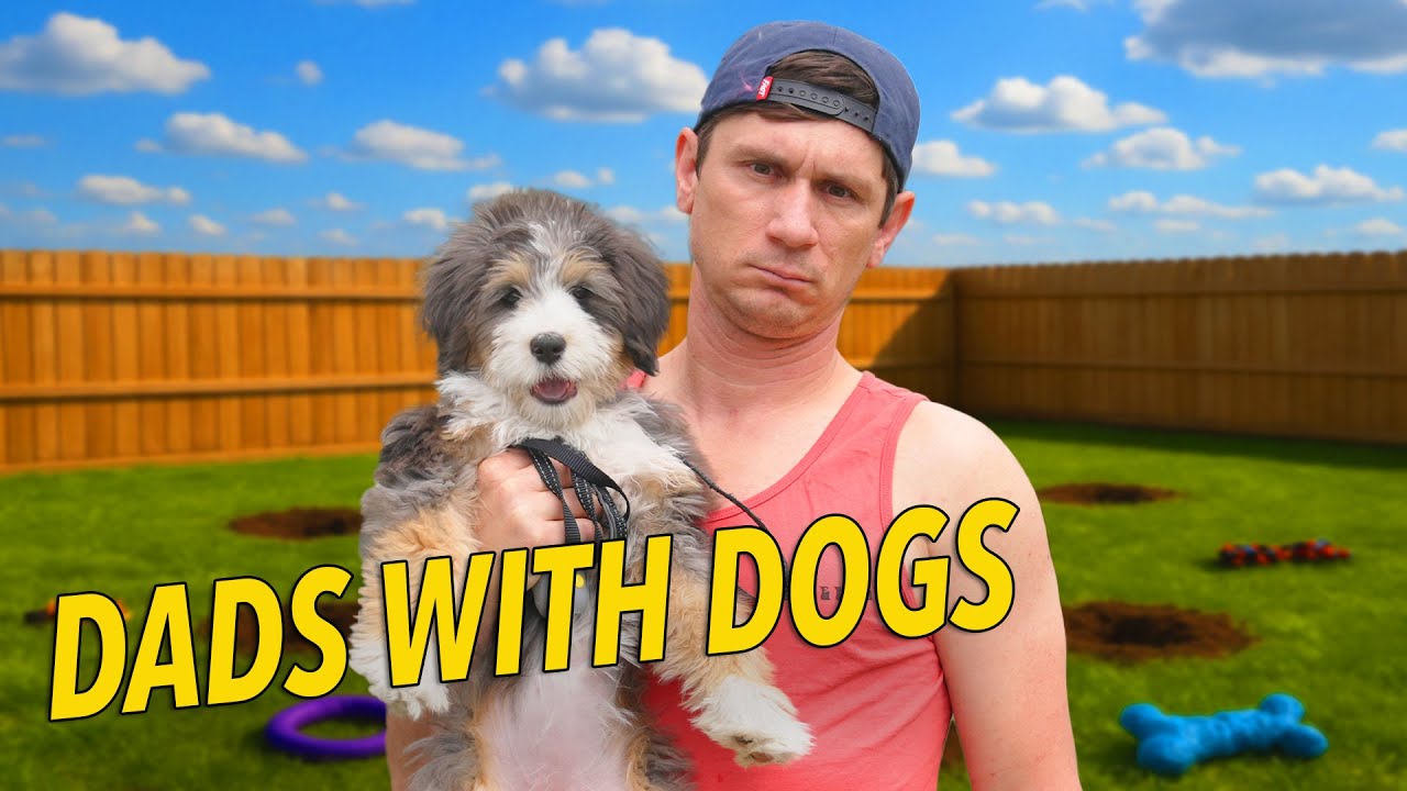 5 Stages of Getting a Dog