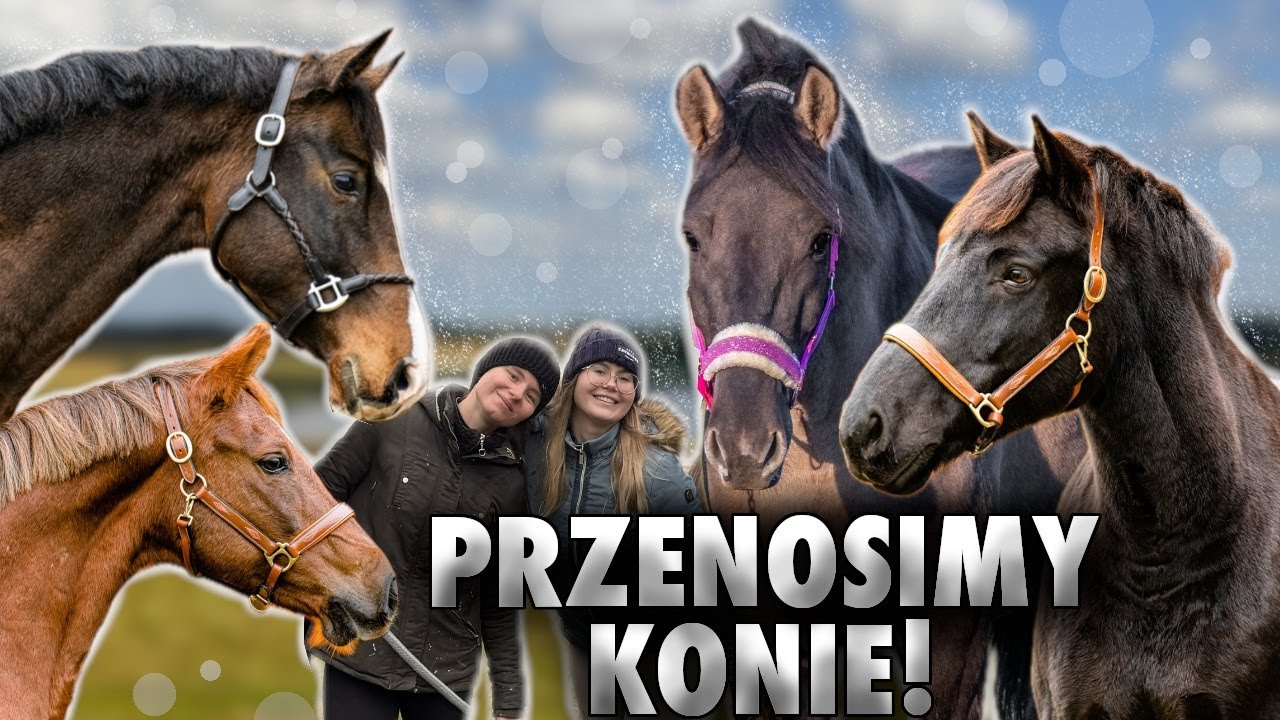PRZENOSIMY KONIE NA SWOJE! | VLOG #380