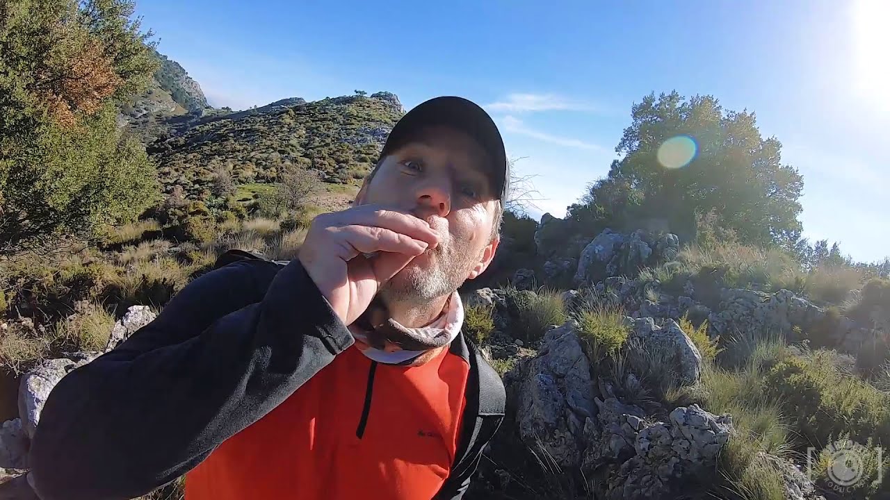 ASUSTADO EN EL BOSQUE DE PINSAPOS  - GRAZALEMA -