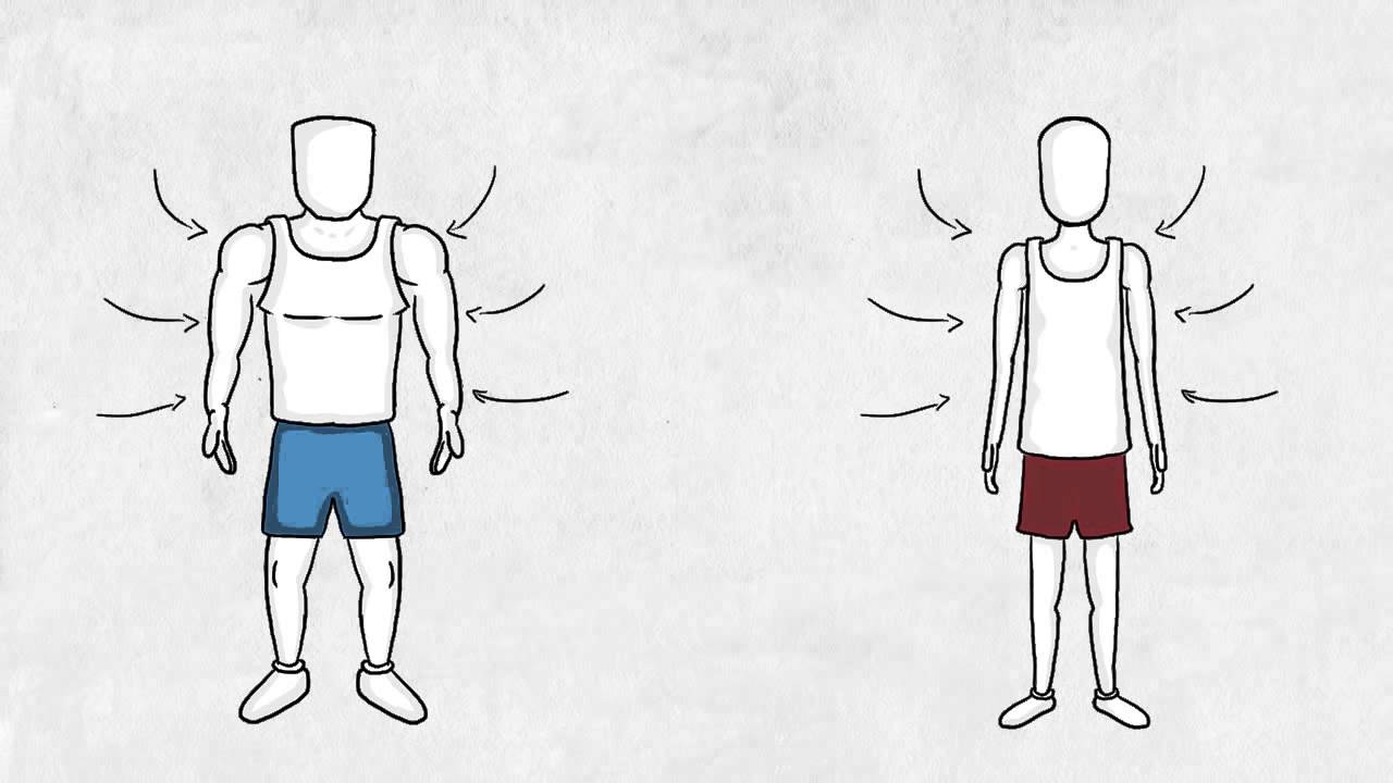 Fast twitch vs Slow twitch muscle fibers