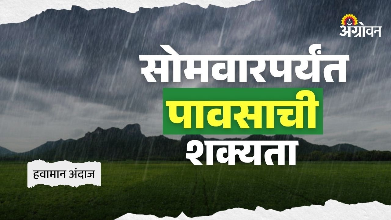 Weather Update: मराठवाडा आणि विदर्भात पावसाला पोषक हवामान कायम | Agrowon