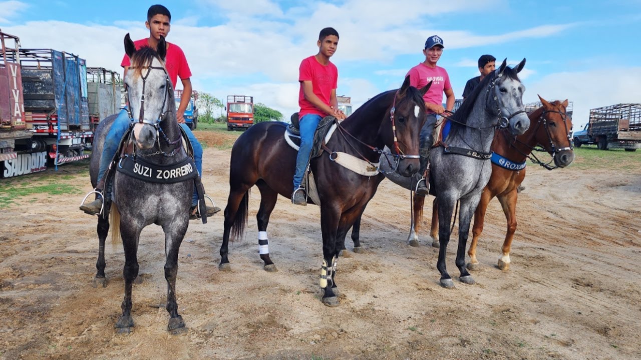 FEIRA DE CAVALOS EM CACHOEIRINHA-PE   11-01-2024  #nordeste