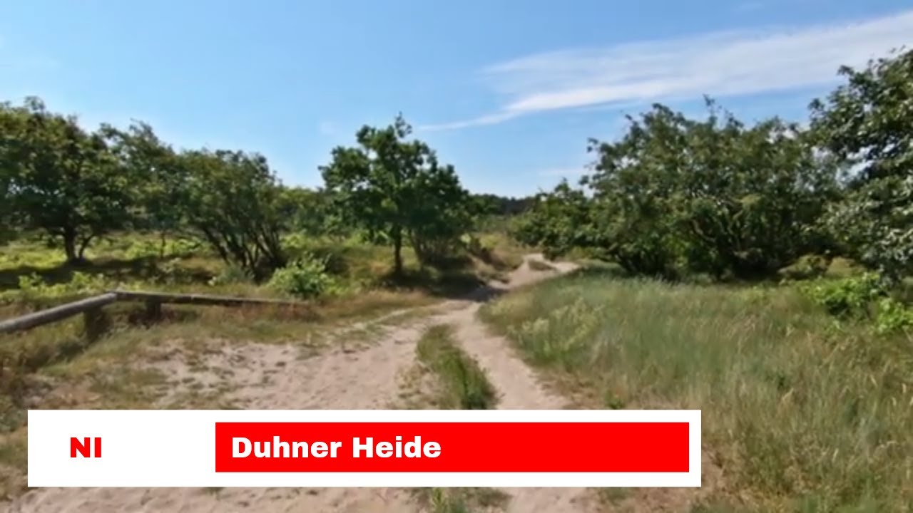 Duhner Heide - Cuxhavener Küstenheide zwischen Duhnen und Sahlenburg