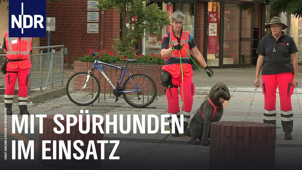 Mit Spürhunden im Einsatz | Die Nordreportage | NDR Doku
