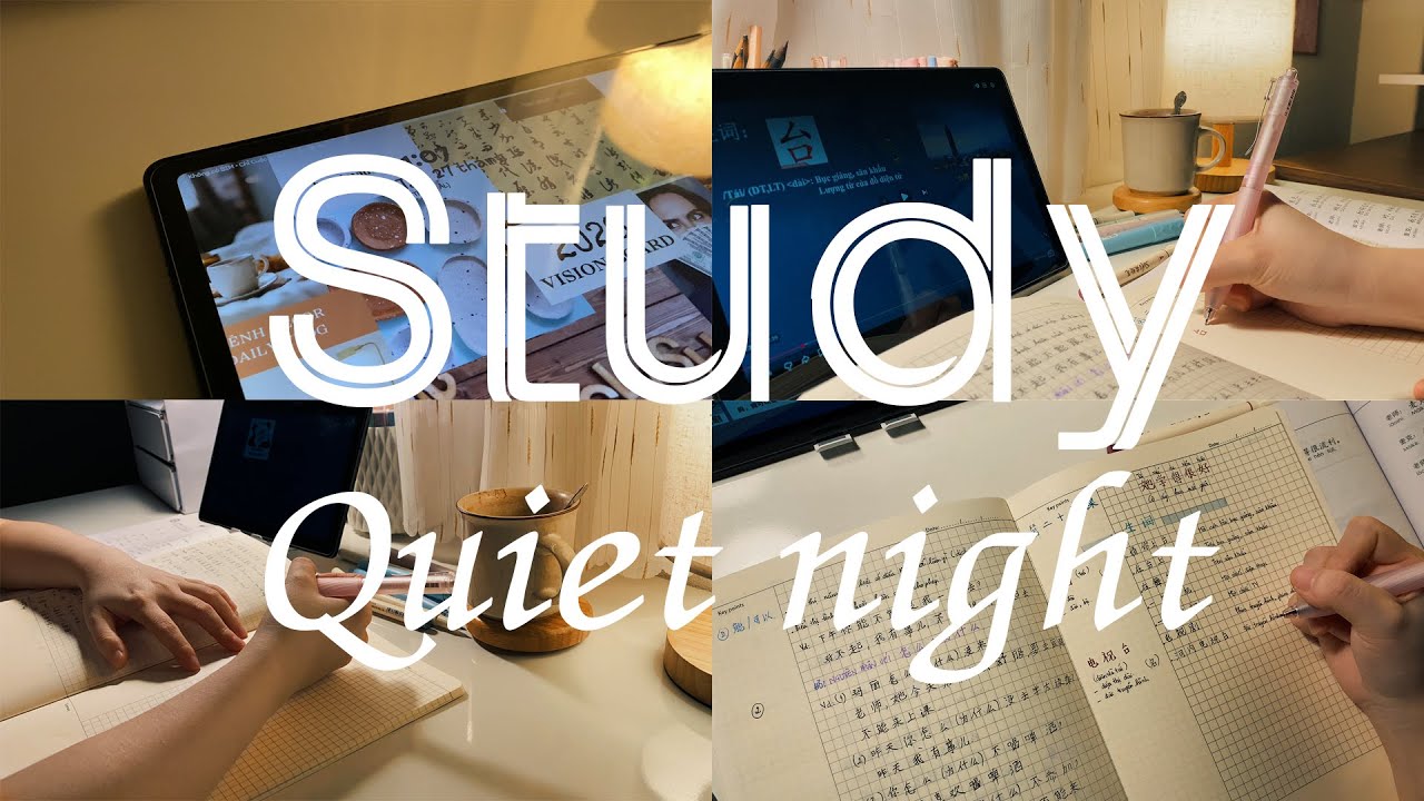 A Quiet Night of Studying | Night Study Vlog