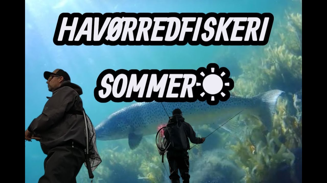 HAVØRREDFISKERI  