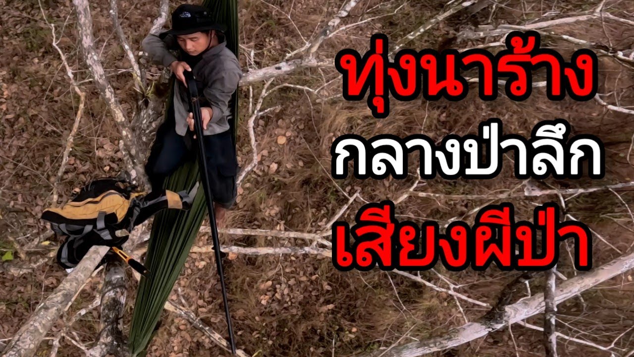 คืนมืดผจญเสียงปริศนา !! ทุ่งนาร้างในป่าลึก !! หลงทางกลับมาเจอจุดเดิม !!!