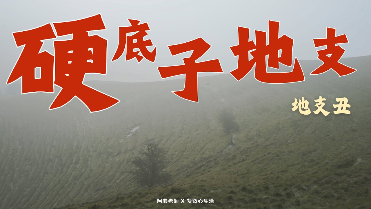 地支的隱藏性格：地支丑的承載力，是你最能依靠的厚實肩膀｜硬底子地支