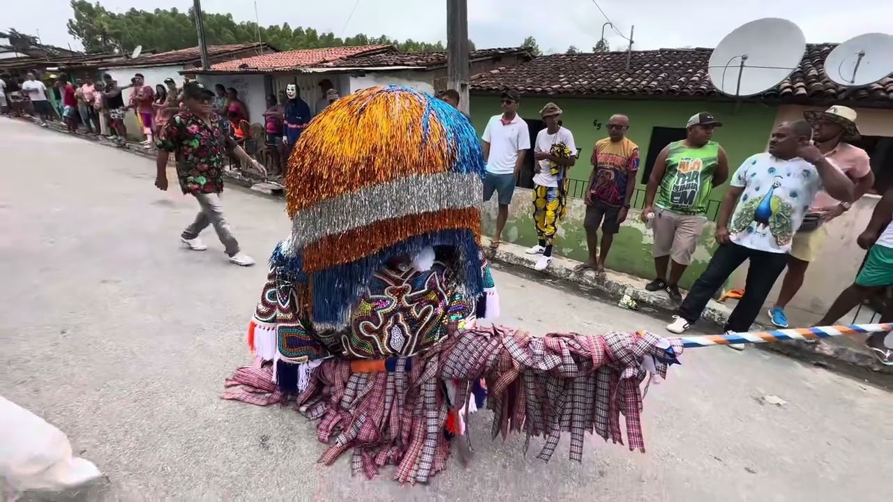 Chegada de Natan 2025 Maracatu Pavão Dourado