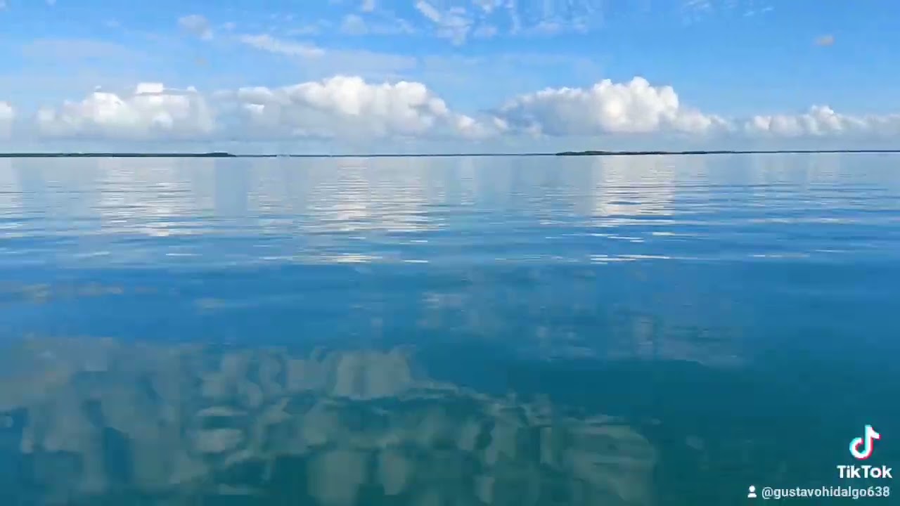 boston whaler 16 ss running at Islamorada FL.