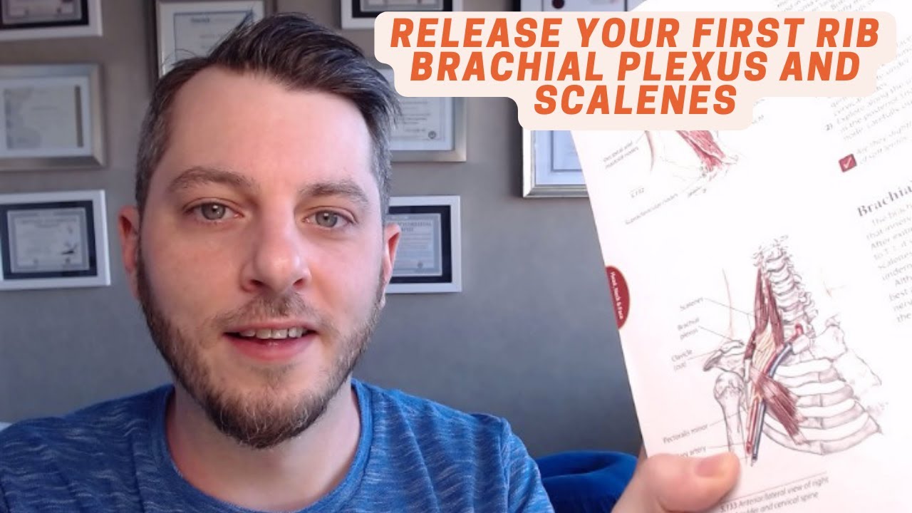 Release your first rib brachial plexus and scalenes