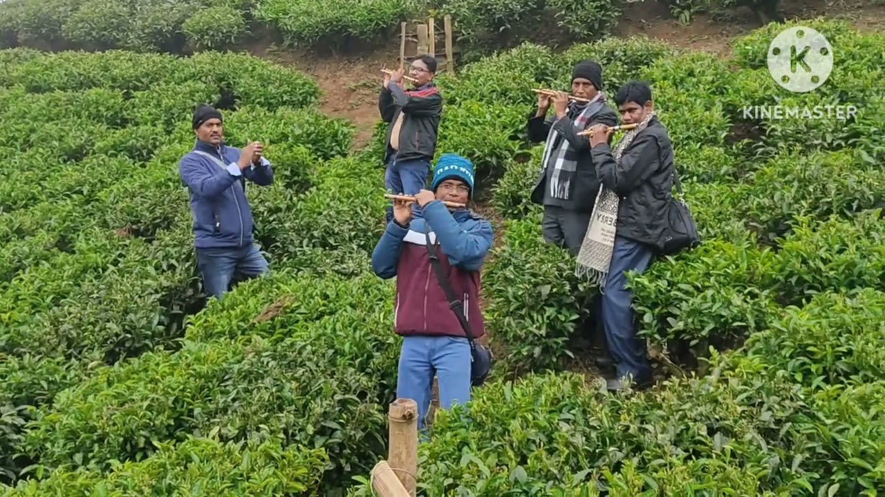 Dong Triyo Raha Darjeeling  ca Bagan