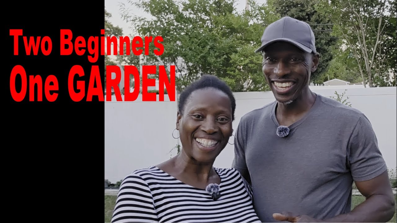 The Accidental Gardeners: Our Unplanned Garden Adventure
