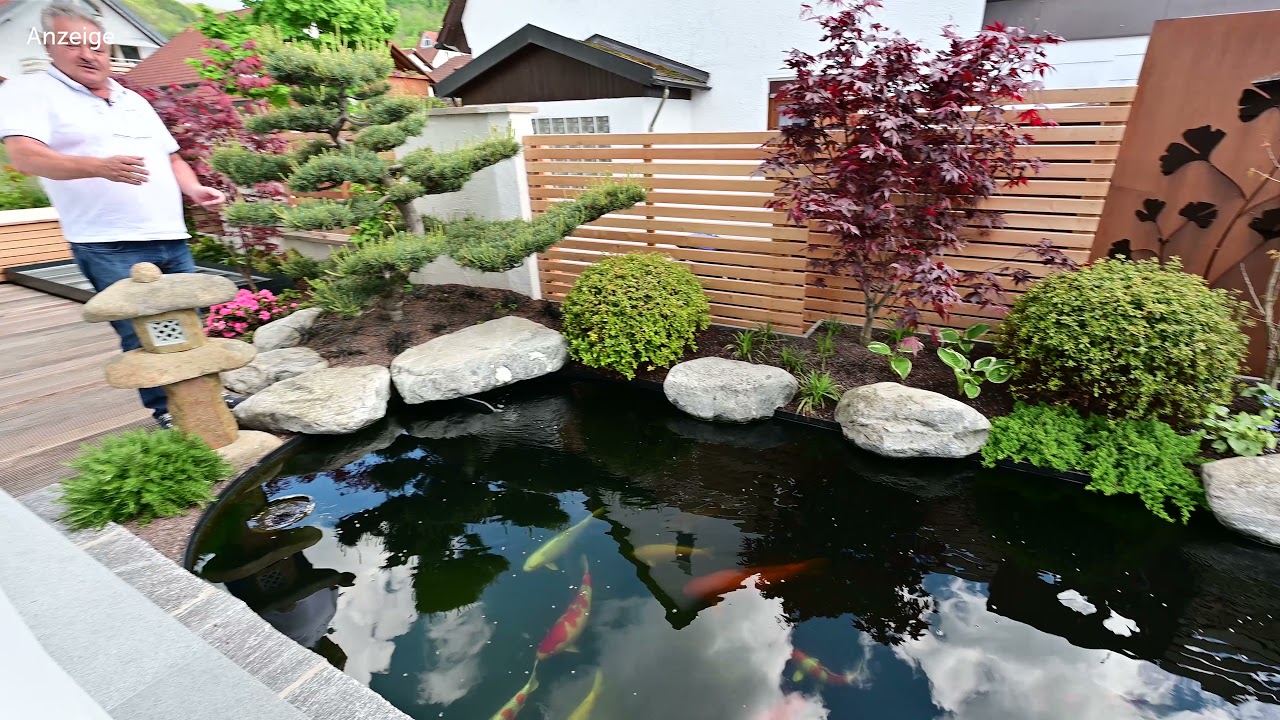 Modern Koi Blog #4550 - Ein toller 20.000 Liter Privatteich mit Panoramascheibe am Esstisch