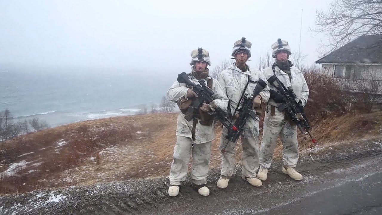 What is Cold Response?