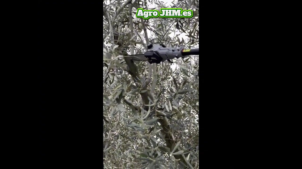 Motosierra Arvipo HS37 PRO poda en Altura 