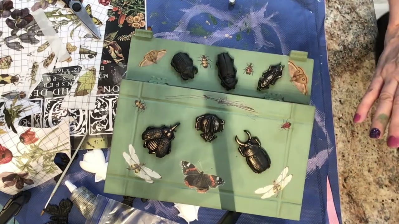 A bug box as a birthday box!