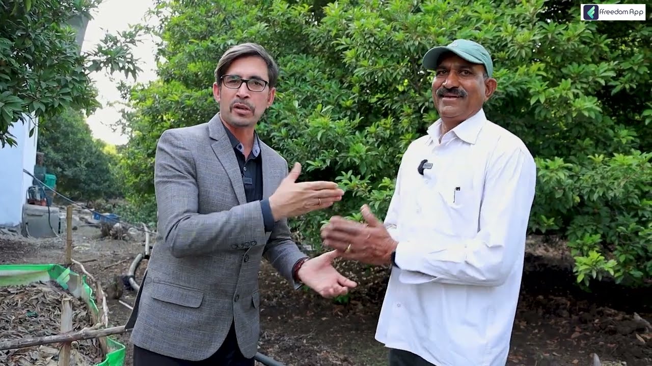 Chikoo Farming | चीकू की खेती कैसे करें | Sapota Farming की पूरी जानकारी हिंदी में