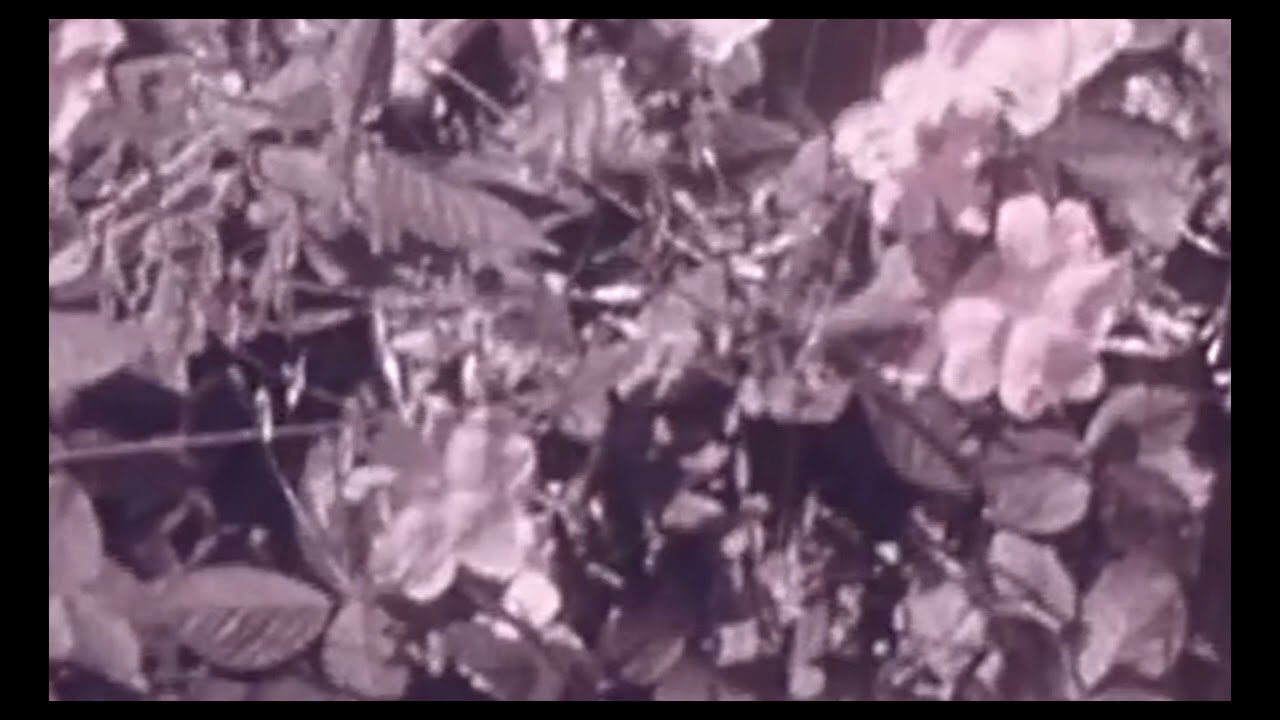 hibou - valium (slowed + reverb)