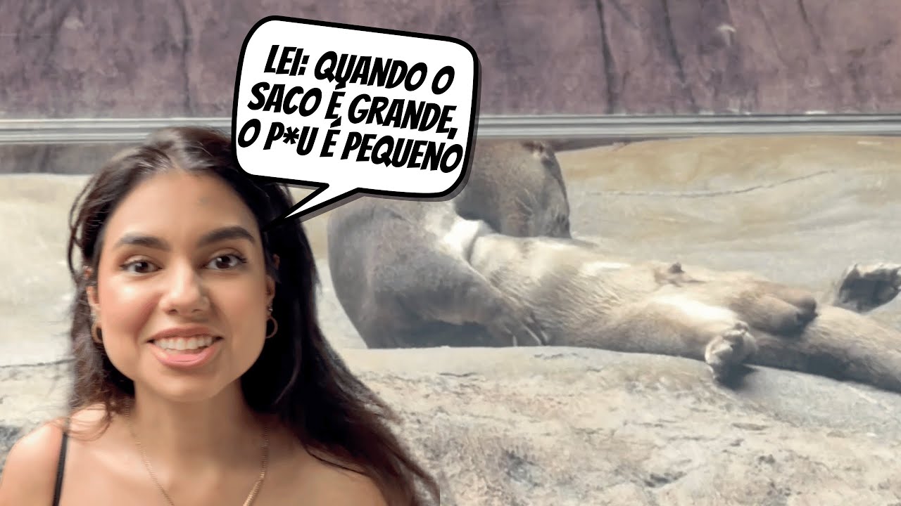 ELAS CONHECERAM O AQUARIO EM BC