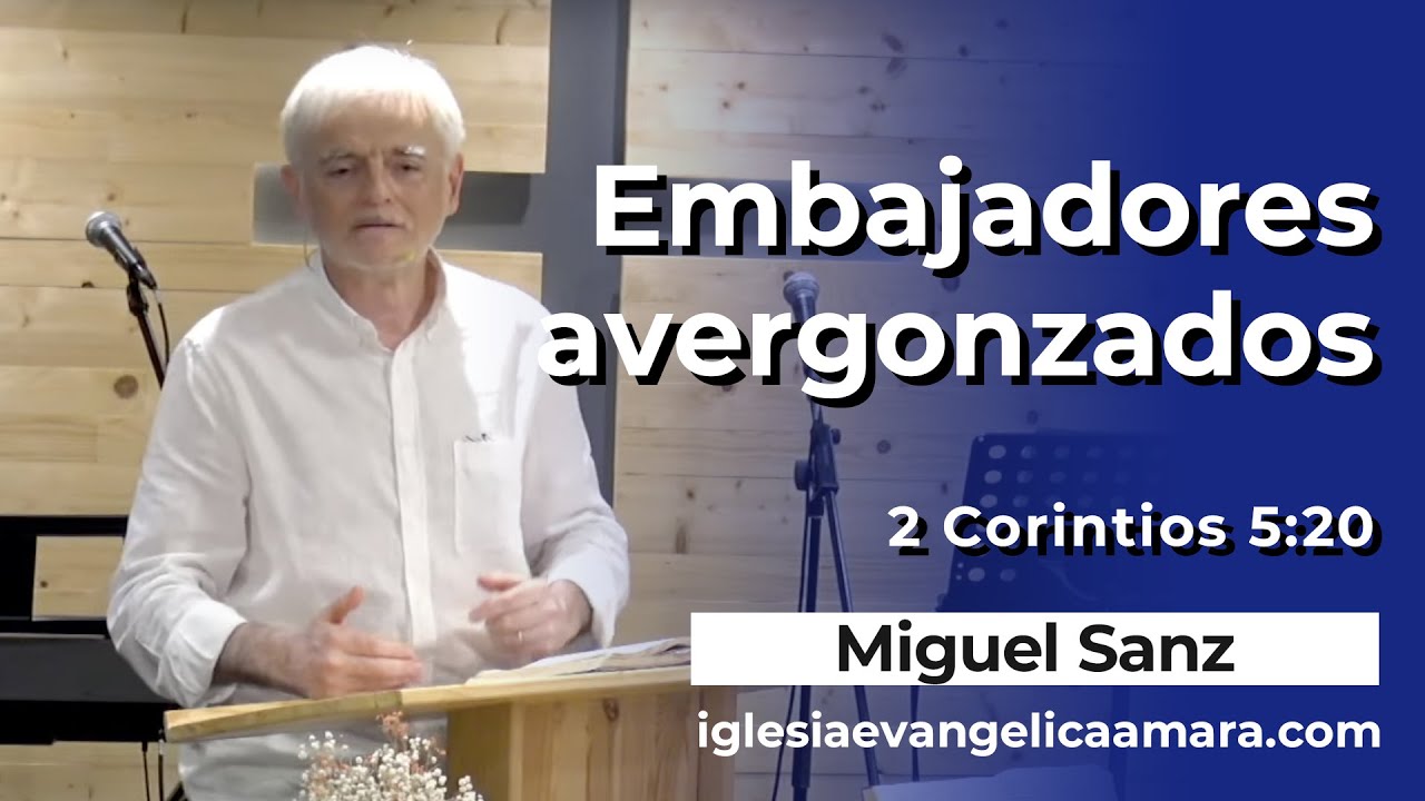 Embajadores avergonzados por Miguel Sanz