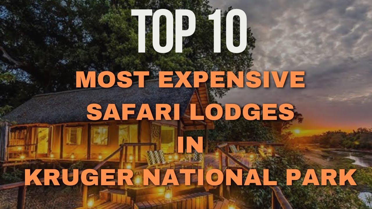 Top 10 Most Luxurious Safari Lodges in Kruger National Park | 5-Star Escapes in the African Wild