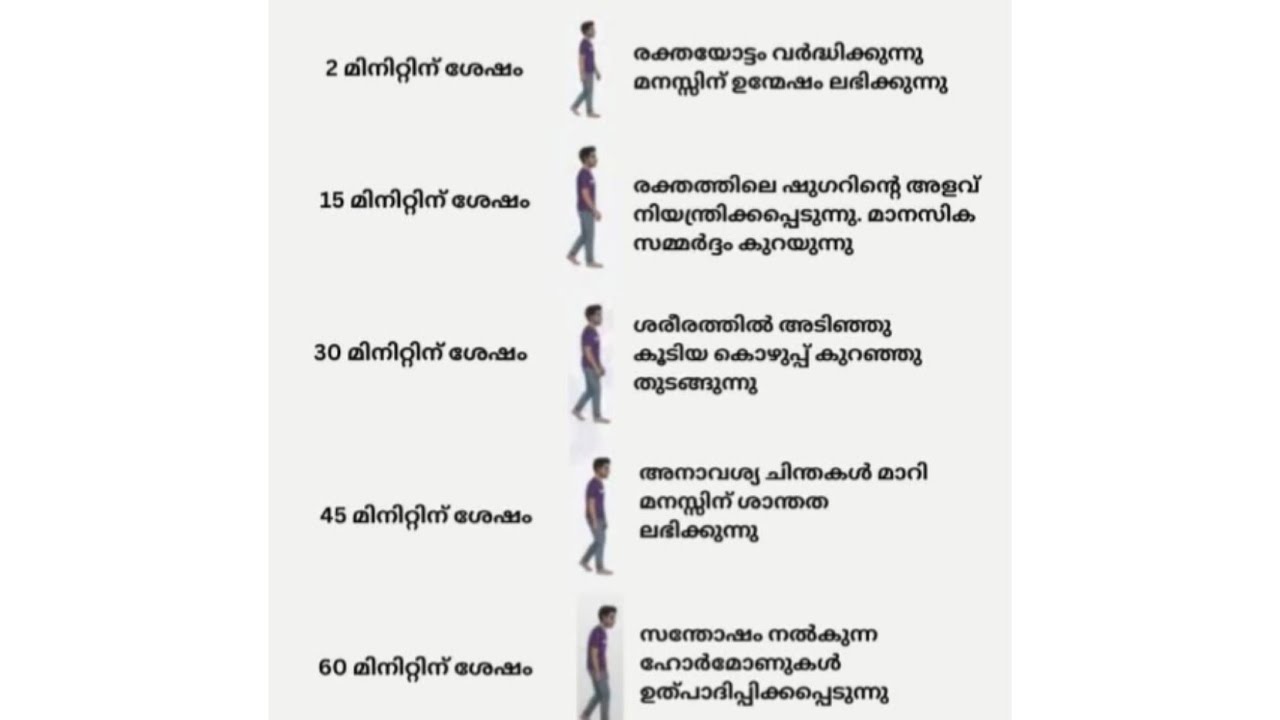 ദിവസവും 1 മണിക്കൂർ നടന്നാൽ ഉണ്ടാവുന്ന ഗുണങ്ങകൾ 😌