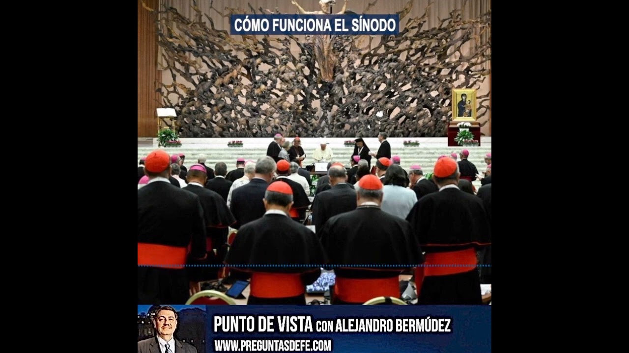 Cómo funciona el Sínodo