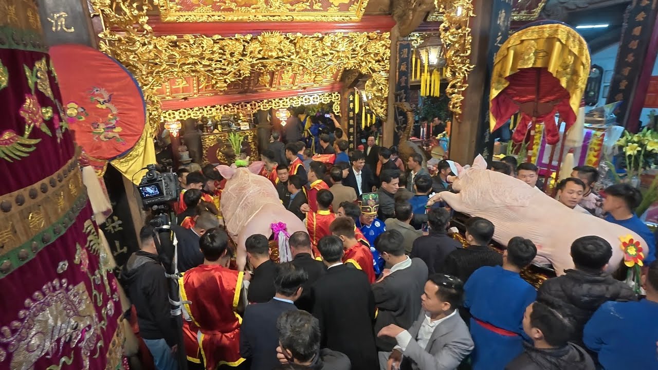 ĐỘC LẠ VIỆT NAM - P2 Lễ hội rước Ông Lợn của người dân làng La Phù | Hành quân xuyên Việt_P193