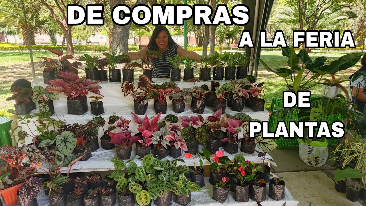 Nuevamente de compras en la  feria de plantas en el parque Demetrio Canelas