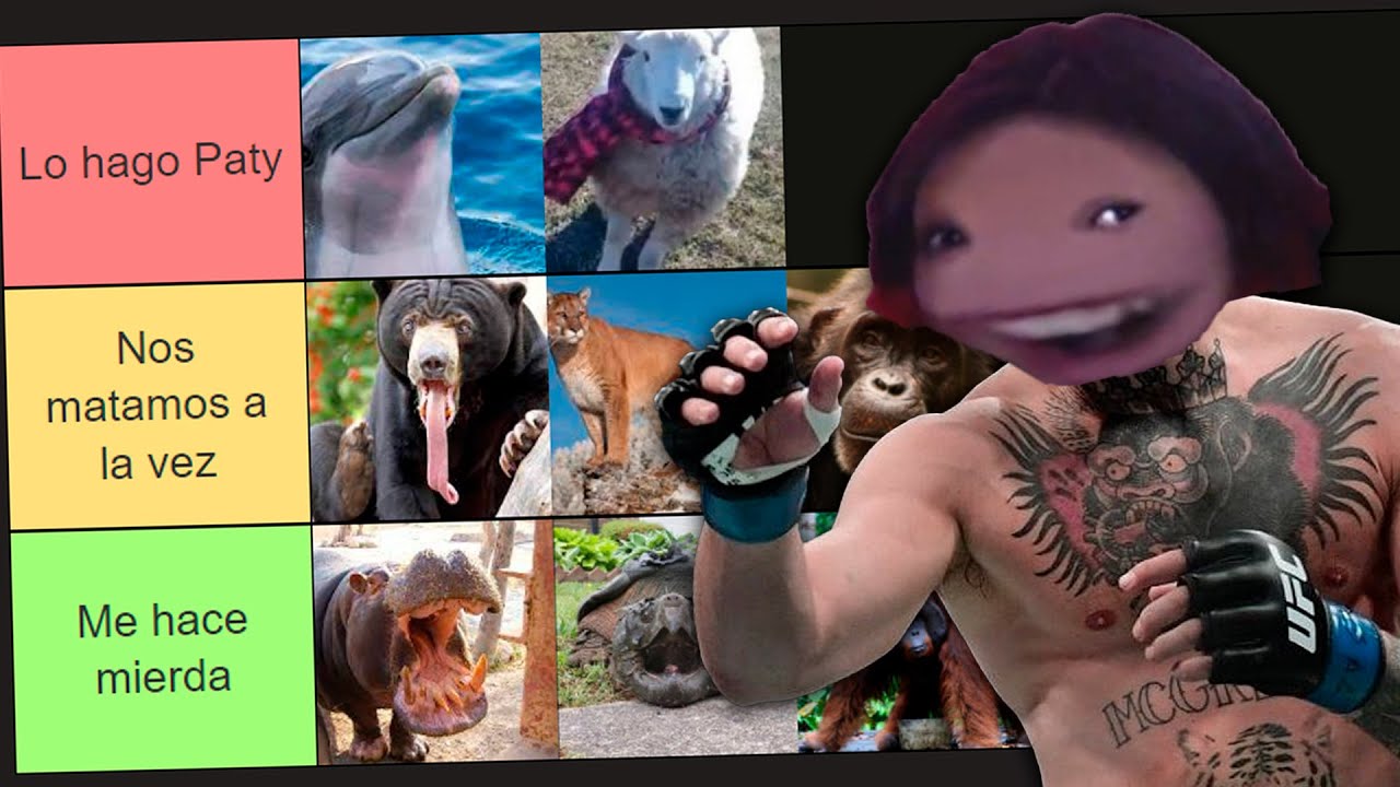 Hice una Tier List de animales a los que les ganaría en una pelea