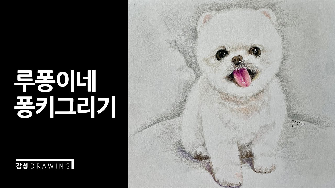 루퐁이네 퐁키그리기/강아지그리기