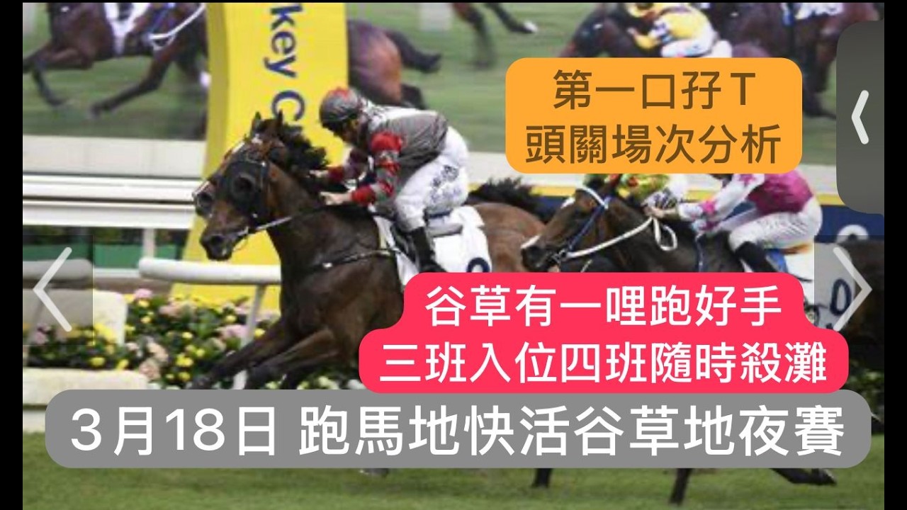 3月18日 跑馬地快活谷草地夜賽 第一口孖T頭關 場次分析 谷草有一哩跑好手 三班入位四班隨時殺灘 ｜賽馬貼士​​​​​​​｜賽馬賠率​​​​​​​​​​​​​​​​​​​｜跑馬地快活谷草地夜賽