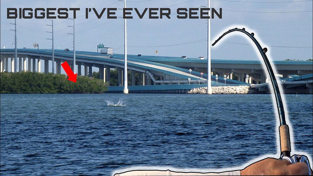 FISHING Florida's Best Kept SECRET When I Hooked the BIGGEST Fish of My LIFE!!