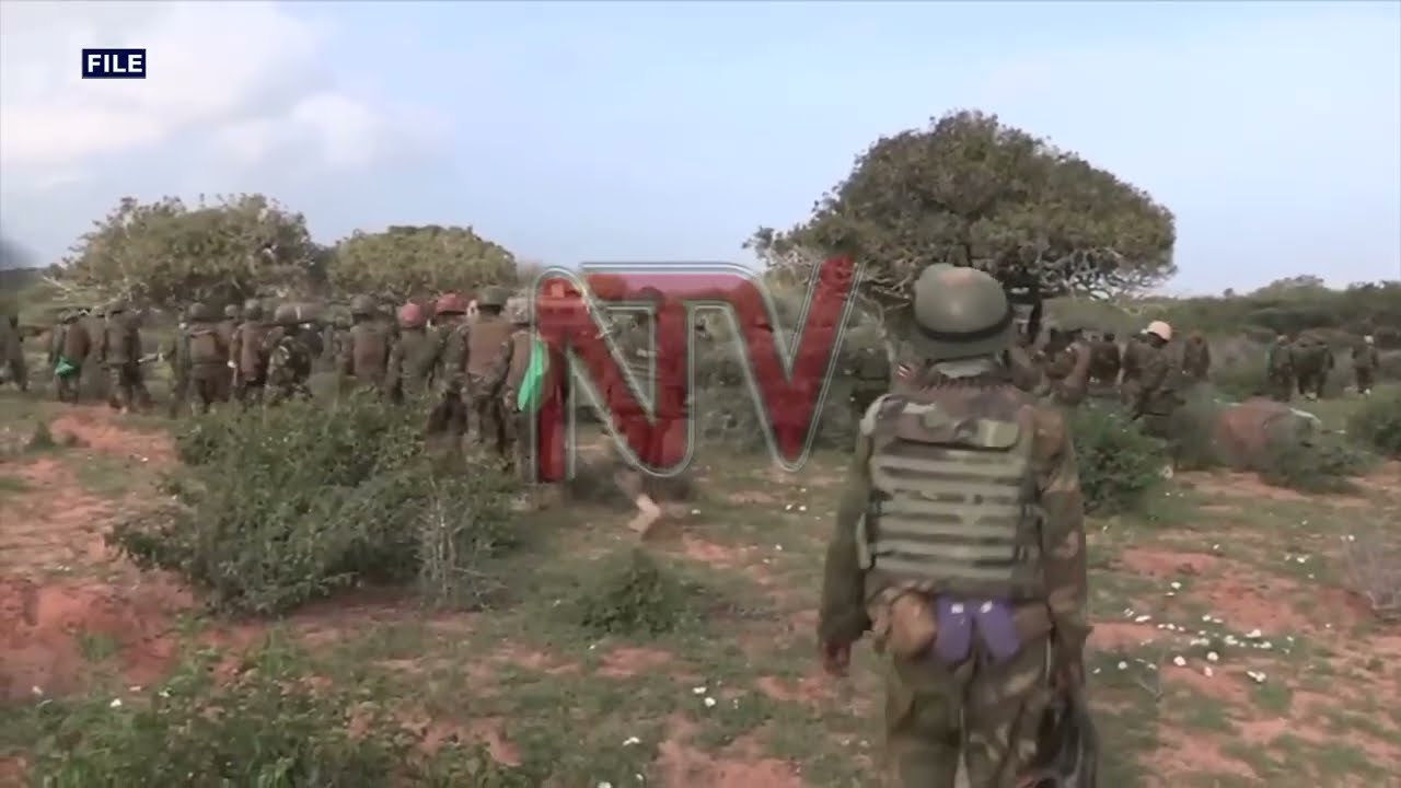 How UPDF structures have evolved over the years