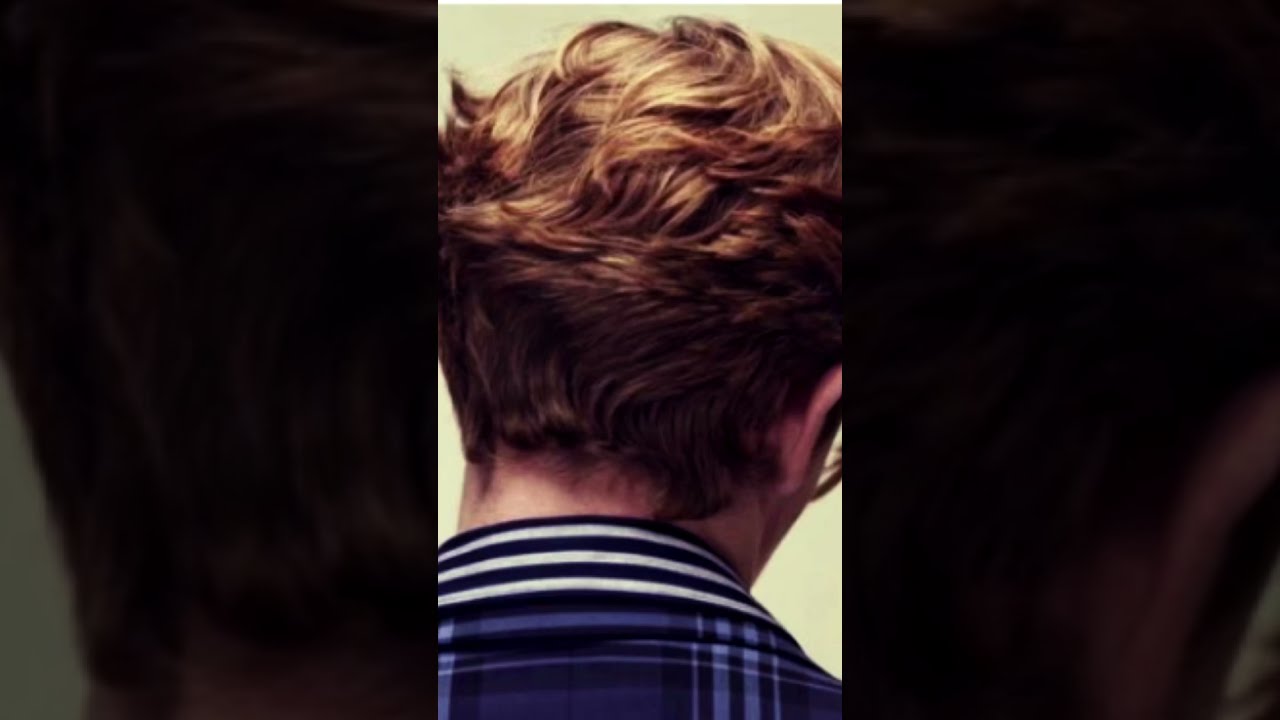 Wylan Van Eck + His Aesthetic